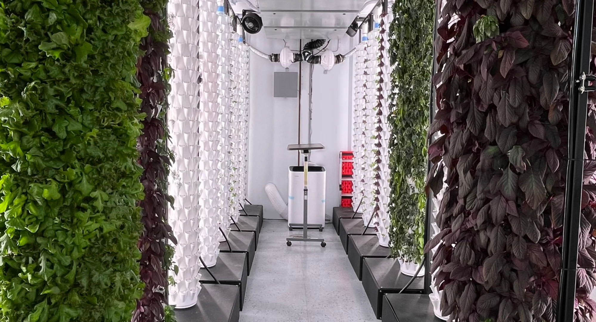 Rotary aeroponics growing system with lush plants