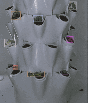 Grow AI demonstration showing automated plant monitoring