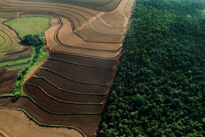 Aerial view of sustainable terraced farmland